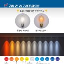 오씨티오