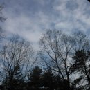 봄날의 헬스클럽 이미지