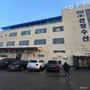 소희수산 | [★화성가볼만한곳/화성에도 수산시장이 있다니?!! 25. 2.1선창수산 방문후기, 실시간가격, 가리비,대합...