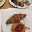 119카크리닉센타 | 5개월 아기랑 제주여행 신라호텔 제주 내돈내산 후기