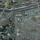 동해안막회 이미지