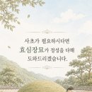 효심장묘 - 금산군 은행나무길 45 | 효심장묘