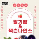 퍼펙트태권도 이미지