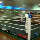 리빙복싱다이어트 이미지