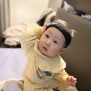 조세탁소 이미지