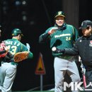 박혁동 카카오 검색결과