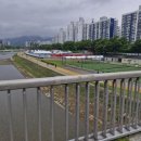 라이딩 일기(2)_팔조령-이서교-팔조령(8282코스) 라이딩