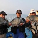 감생이민박 이미지