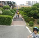 극락초교 이미지