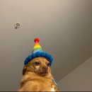 다보메디칼 이미지