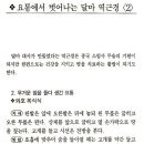 달마짐 이미지