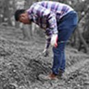 옥남이네 포차 이미지