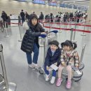 생용 누리길 | 오키나와 3키나와 후기