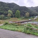 오동세월교 Daum카페