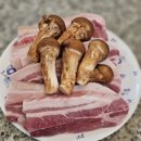 대포초등학교 | [속초 설악문화제] 성공적인 개막! 영원한디바 바다님 완벽한 무대 2일차부터 찐시작 일정안내