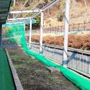 진양골프연습장 이미지