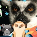 테이블에이 이미지