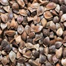 누브 피트니스 (쌍촌점) 이미지