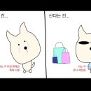 유니샌드 이미지