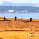 입지목장 이미지