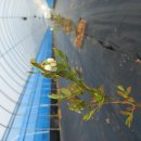 상서농장 이미지