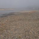 반곡2리 이미지