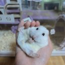 미사늘봄동물병원 이미지