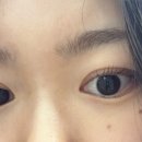 엘케이쁨 네이버블로그