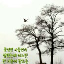 바다햇살고운집 네이버블로그