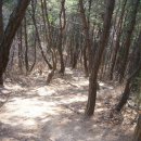 상곡2 Daum카페