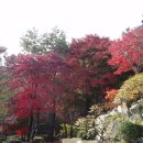 약수터 옆 이미지