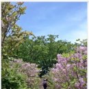 목천중학교 이미지