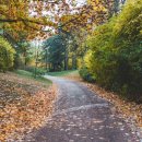 서울현대재활의학과의원 이미지