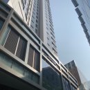와이딘용산해링턴