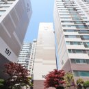 목화(1차) 이미지