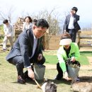 하이원랜드 이미지