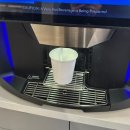 광릉중학교 | [캐나다 일상] 취준생 농락 사건 | 캐나다 Cineplex 왕과 사는 남자 후기 (주차 무료 받는 방법)