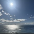 호텔 본(Born) | 파르나스 호텔 제주, 디럭스 킹 오션뷰 5성급 2박 3일 숙박 후기