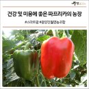 진월농장 네이버블로그