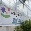 하남 대관 키즈카페 샤론 농장 피크닉 하우스 서울 근교 물놀이 가격 예약 총정리