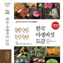 한국 야생버섯도감 출간 이미지