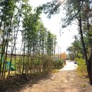 황방산 야영장 이미지