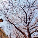 안양바다낚시터 이미지