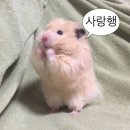 유정산업 앞 | 바이바이 치앙마이 현생으로 돌아가자..(Ｔ▽Ｔ)