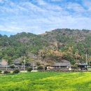 성현농장 | 문305 단산에서 만난 추사: 유배의 산에서 문화의 길이 되다