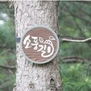 해원군묘 | 의정부 가족 나들이 장소로 추천! 자연과 함께하는 소풍길을 소개합니다