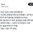 앙딱정 최근 코로나 증상 정리해드림. 이미지