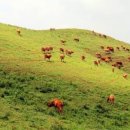 서산농협미곡종합처리장 이미지
