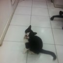 리즈동물병원 이미지