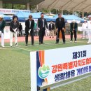 남면체육공원 운동장 헤럴드경제
